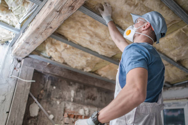 Best Blown-in Insulation in Vernon, TX
