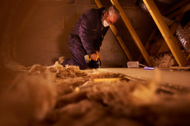 Best Cellulose Insulation in Vernon, TX
